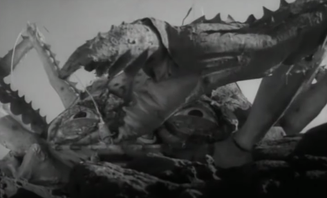 Grafikdrummer's tweet photo. Apropos Jack Nicholson und seine Jugendsünden: Roger Corman hat auch den #SchleFaZ-würdigen #AttackoftheCrabMonsters verbrochen. Angeblich soll Nicholson auch mal unter so einer Monsterkrabbe gesteckt und sie bewegt haben. 😂
#LezFaZ #SchleFaZ #GedenkFaZ #RogerCorman #DerRabe https://t.co/vAgtpPykAj
