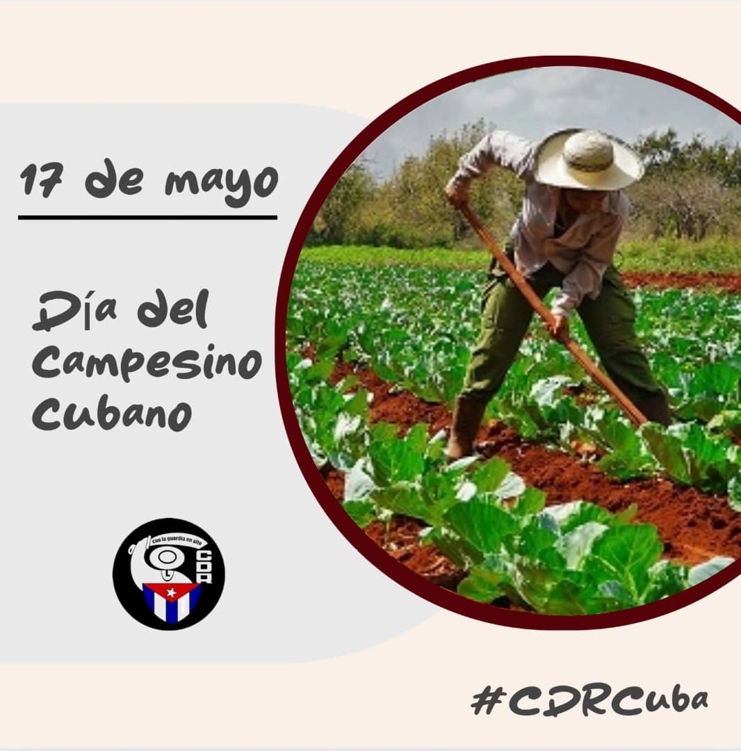 🧑‍🌾 La agricultura es un arte y los campesinos unos artistas ‼️🇨🇺
Feliz #DíaDelCampesino ‼️

#CDRCuba #DeZurdaTeam