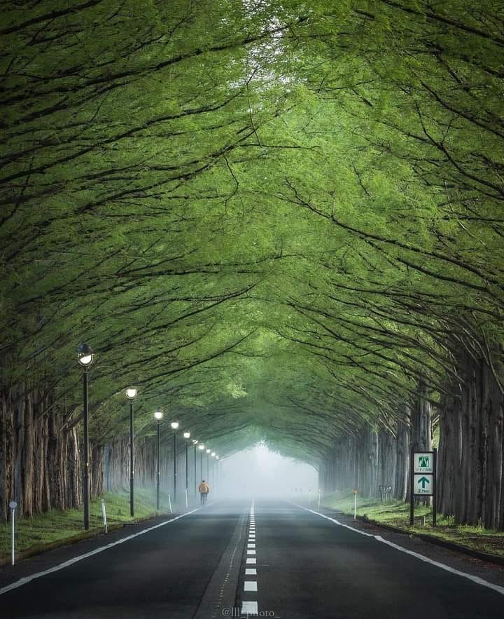 A street in Japan 🇯🇵