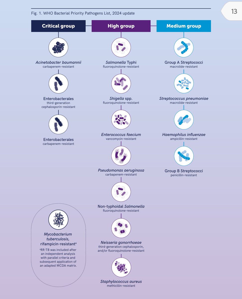 . @WHO Bacterial Priority Pathogens List, 2024: Bacterial pathogens of public health importance to guide research, development and strategies to prevent and control antimicrobial resistance @opsoms 👉🏼iris.who.int/handle/10665/3…