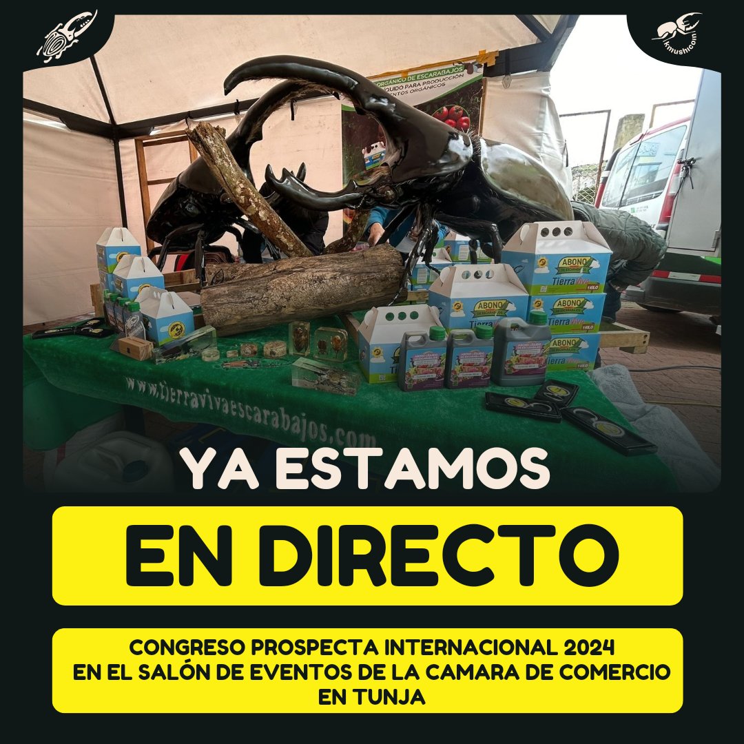 kmushicoin's tweet photo. Haciendo partícipe del último día del evento Congreso Prospecta Internacional UNAD

https://t.co/hIMmsovr2X https://t.co/VIeVzB7Mps