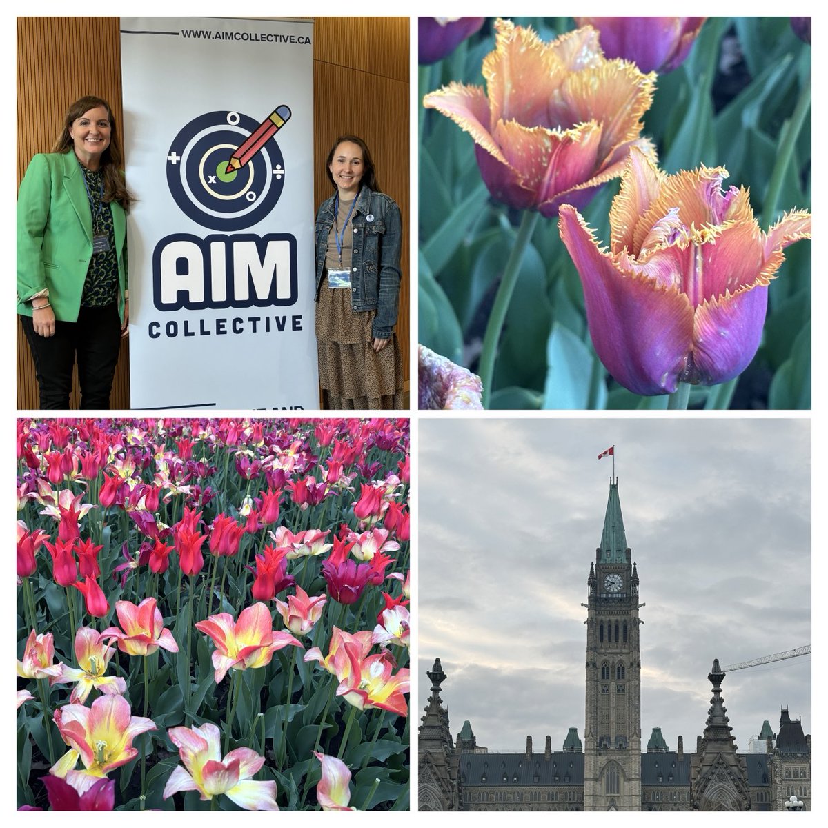 What a wonderful few #math days with ⁦@AIMCollectiveCA⁩ in Ottawa! So many great conversations with passionate educators and researchers. It was fun to have ⁦@MsHardy123⁩ from ⁦@utexascoe⁩ on the trip, and it was nice timing with the tulip festival!