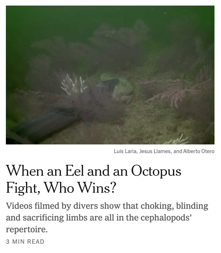 No one but the industry arming their pointless war.
