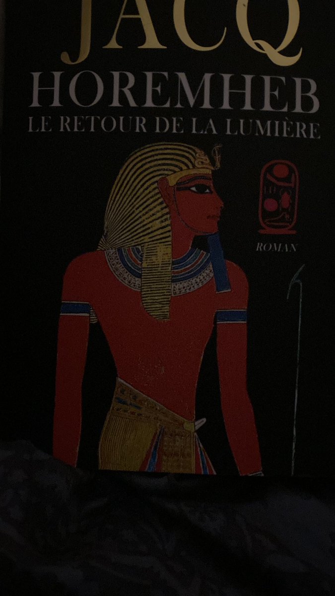 Good night dear friends, reading a book I received for Christmas. Don’t know about « Nefertiti and Akhenaton » being rebels.

Well, they did introduce monotheist god. True. They replaced all gods by Aton, the sun. But they did much more.

They quit the country’s capital in order