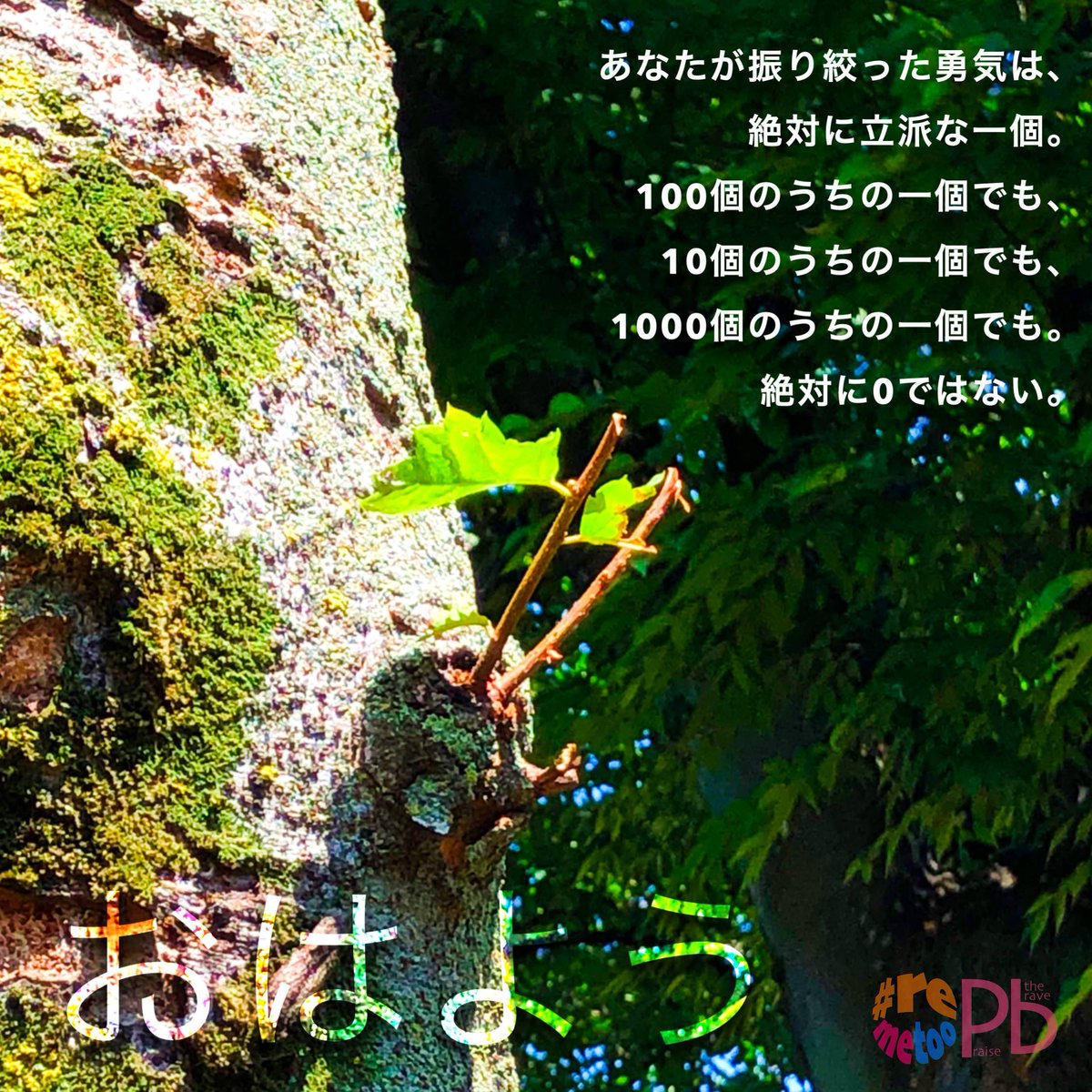 あなたが振り絞った勇気は、絶対に立派な一個。100個のうちの一個でも、10個のうちの一個でも、1000個のうちの一個でも。絶対に0ではない。

#remetoo #MeToo #praisethebrave #性暴力 #dv #sexualviolence