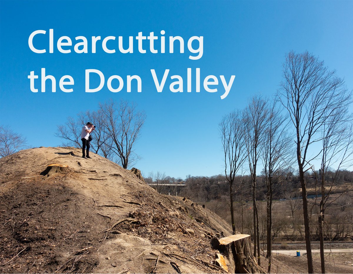 Read how @Metrolinx is not doing enough to protect #wildlife as it cuts huge swaths of #trees in the #DonValley to build the #OntarioLine subway. #conservation #climatecrisis #topoli #Toronto
spacing.ca/toronto/2024/0…