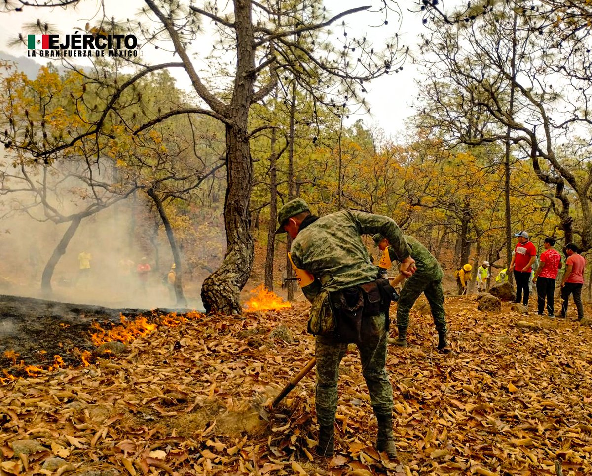 Fase de #Auxilio ¡Tu seguridad, es mi misión! Continuamos aplicando el #PlanDNIIIE durante la sofocación de un incendio forestal. #SiemprePorTi #SiemprePorMéxico #EjércitoMexicano #22ZonaMilitar
