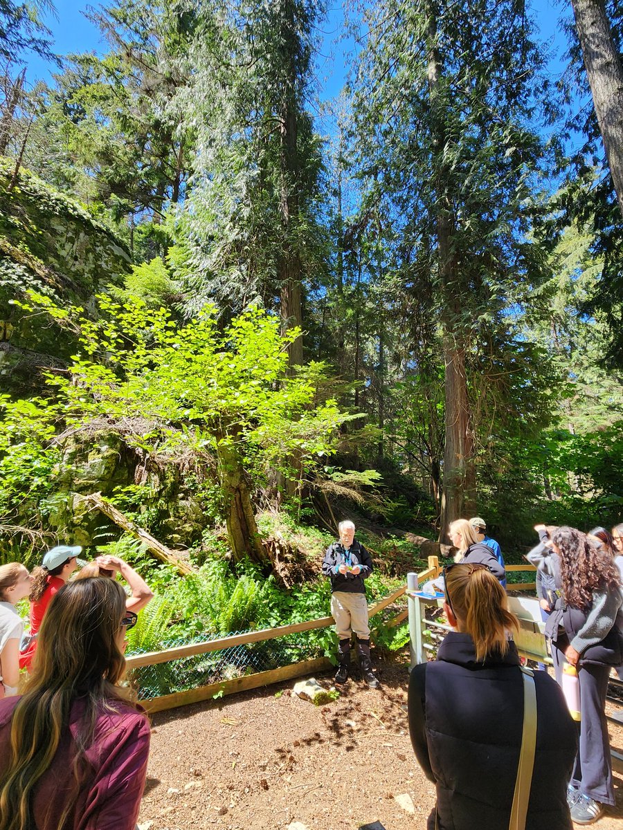 Caulfeild School tweet media