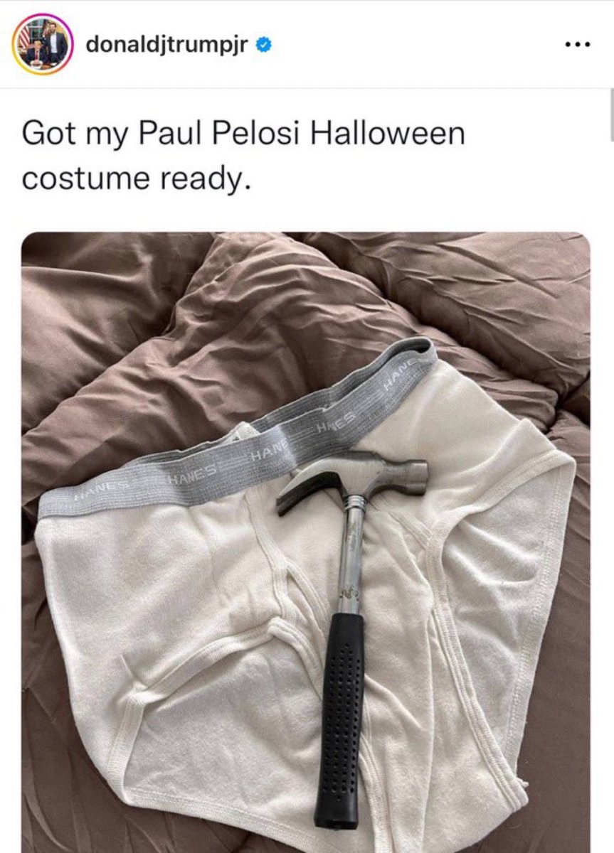The man who attacked Nancy Pelosi’s husband has been sentenced to 30 years in jail. This is a good time to remind everyone that as Paul Pelosi was in ICU from the hammer attack, Republicans like Donald Trump Jr. posted garbage like this. What a POS.