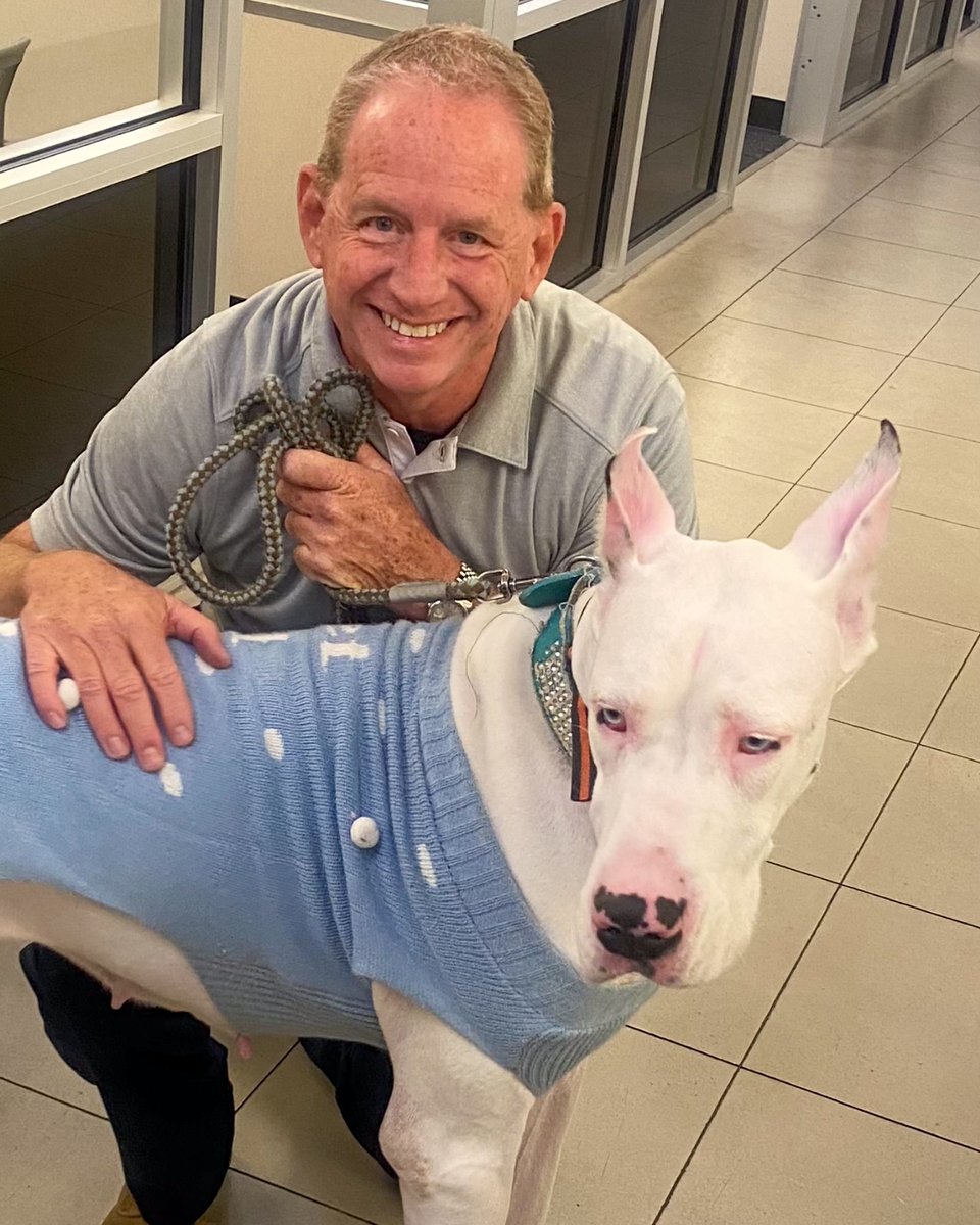 First Texas Honda tweet media