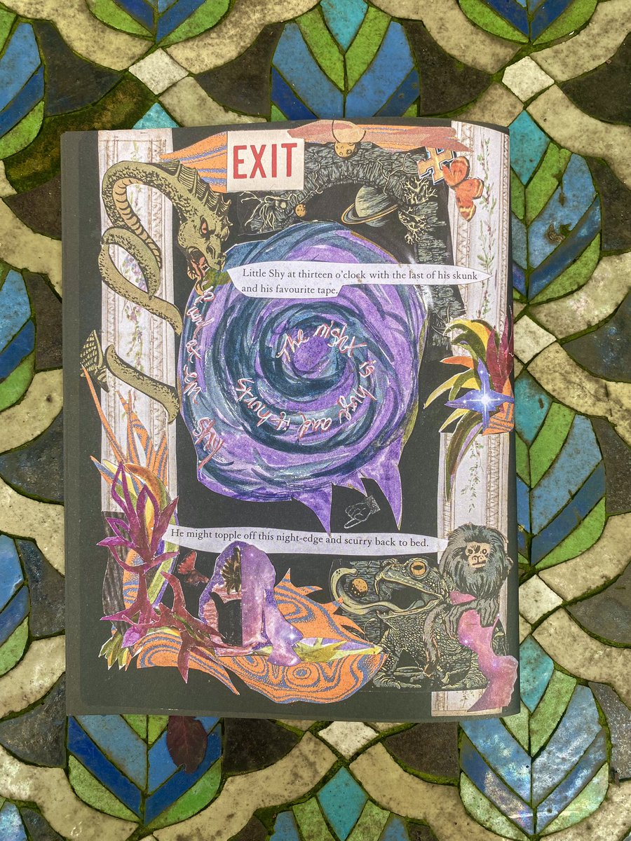 I loved SHY so much I made a zine as visual translation 
It was such a fun and fulfilling project I’m happy to send one to anyone who’d like just dm your address 🌀