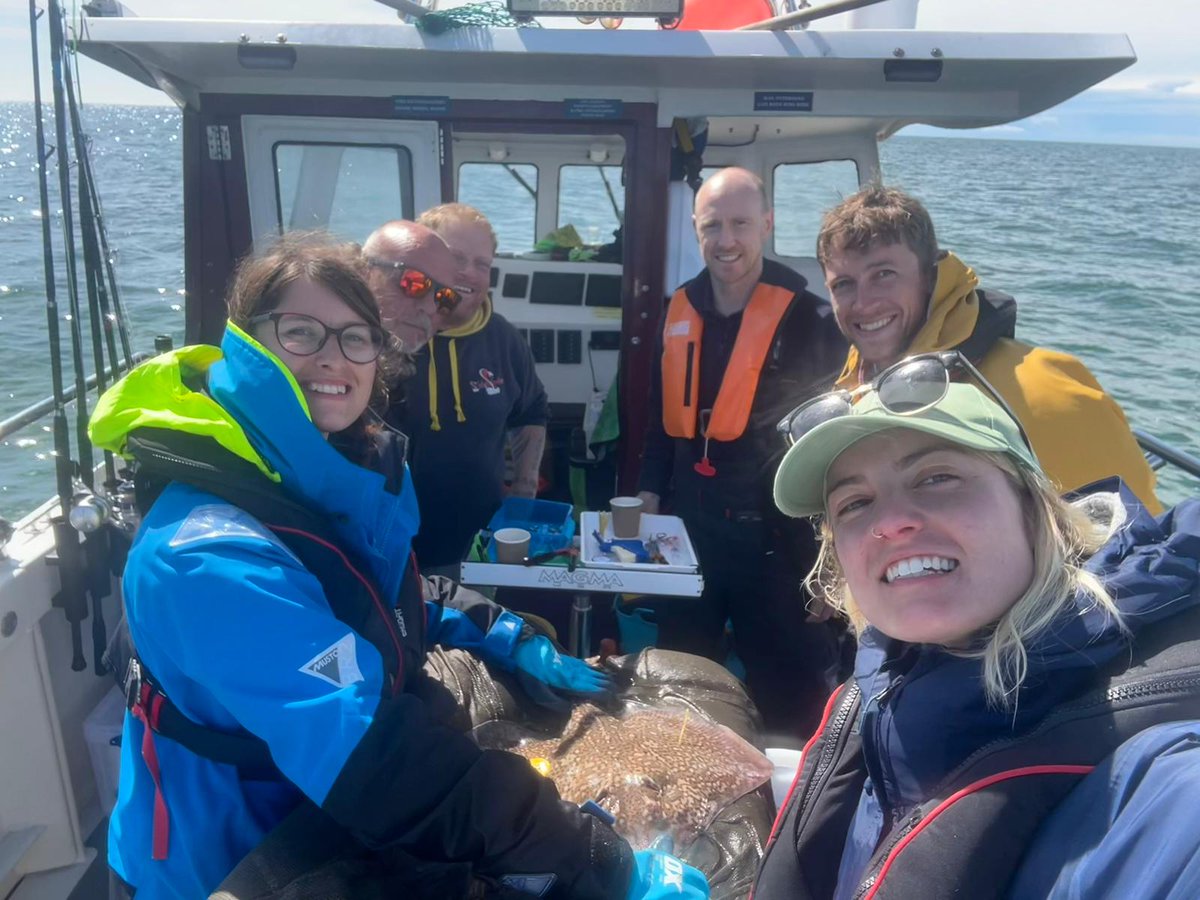 AHall_Marine's tweet image. What an incredible week we have had Elasmobranch tagging in Sussex! Amazing team work resulted in us tagging 25 tope and 2 rays across 3 days! 🦈

#AnglingforSustainability #FISP @DefraGovUK @aMER_MarineRes @PlymUni @AnglingTrust @NaturalEngland @SouthernIFCA