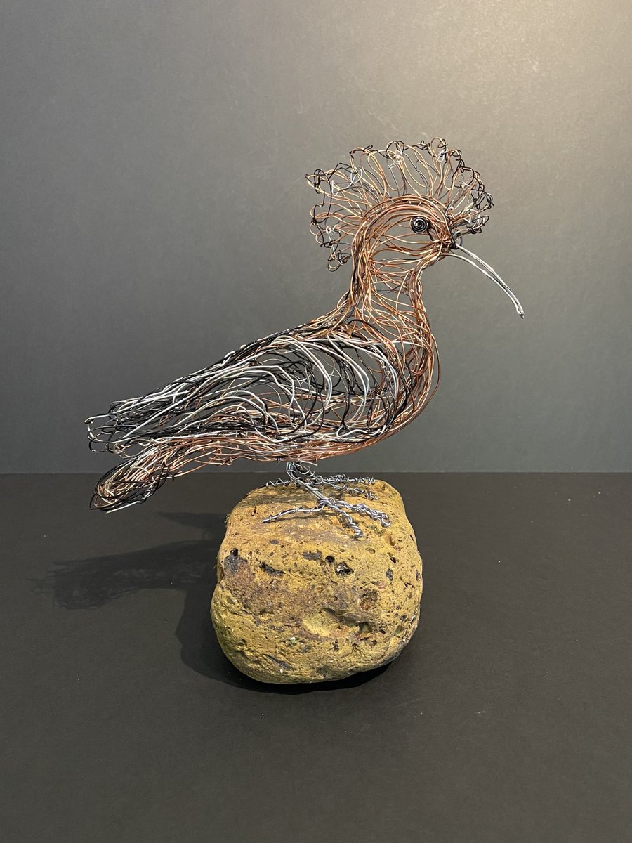 This is the first of the Wire Sculptures from last week.”Hoopoe “ Freehand Wire Sculpture #birdsoflesbos #hoopoe #wireartist #birdartist