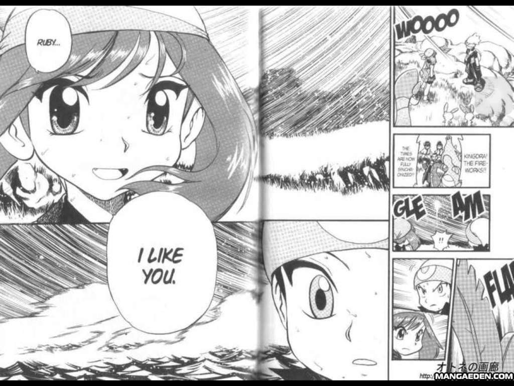 I've written a single fanfic in my life, and it was a (currently unfinished) ship fic for Ruby and Sapphire from the Pokemon Adventures Manga.

(This reveal was my lifeblood as a kid)