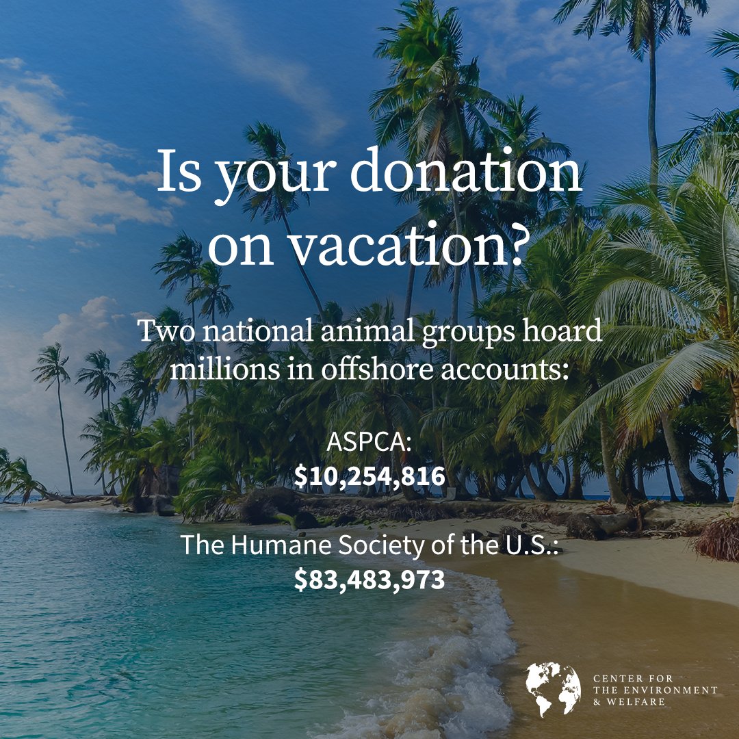 Why do the Humane Society of the U.S. and the ASPCA have millions of dollars sitting in offshore accounts while over a million pets are euthanized each year in the U.S.?