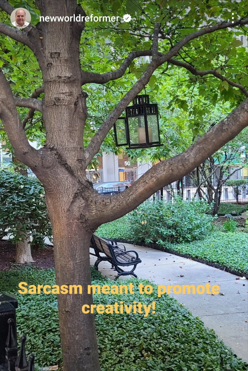 Sarcasm meant to promote creativity! instagram.com/reel/C7E8skFpo…