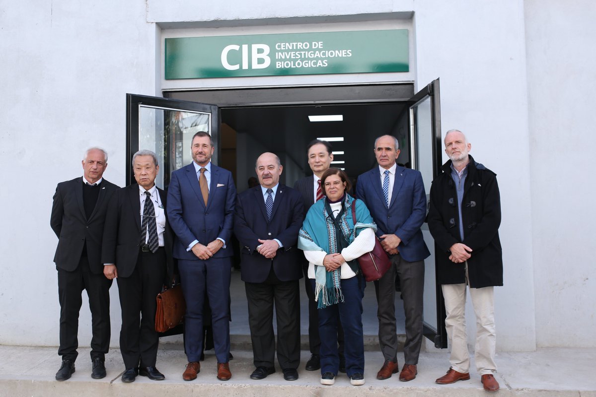 Cooperación Argentina tweet media