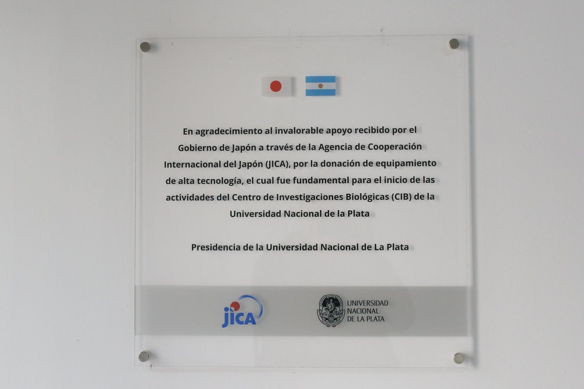 Cooperación Argentina tweet media