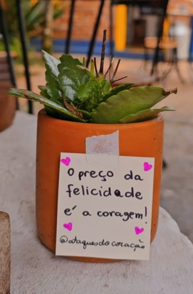 Como dizia Clarice Lispector...
'Ser feliz é uma responsabilidade muito grande. Pouca gente tem coragem.' 🩷