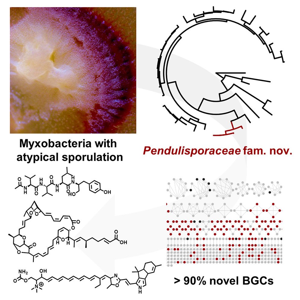 I once was asked: what's the one paper you are most proud of? And this is it (for now 😉). Bringing this massive amount of data into one concise storyline was a challenge which definitly broadened my scientific horizon. 
cell.com/chem/fulltext/…