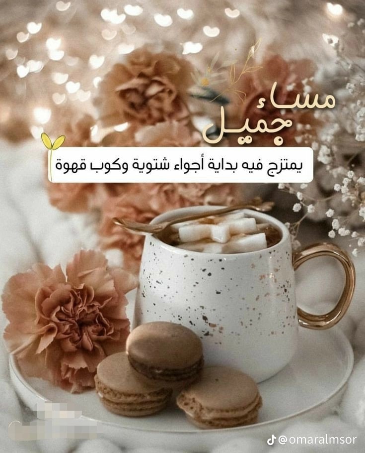 @sidahmmed7