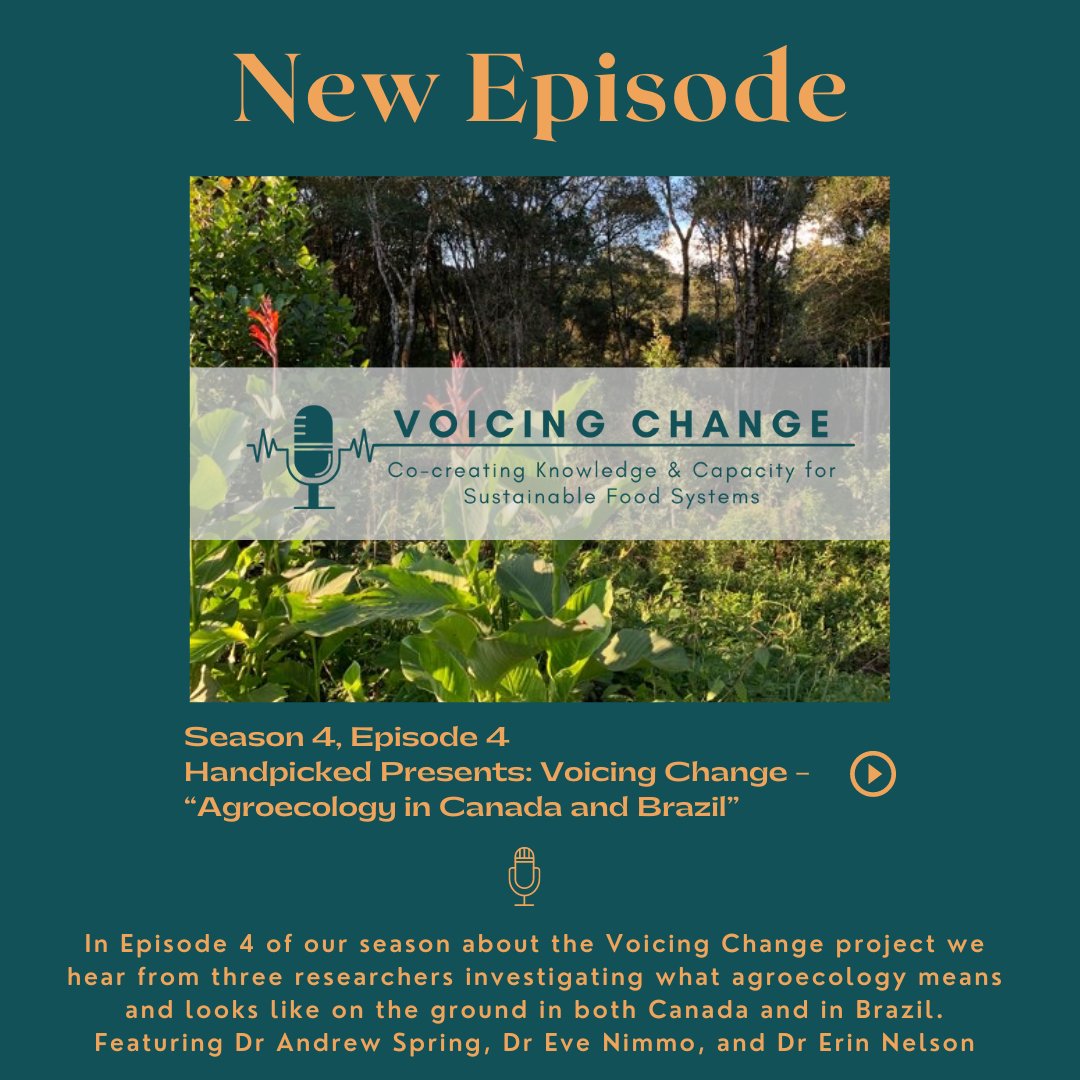 A new episode is coming on Monday, May 20!

In episode 4 of season 4, titled “Agroecology in Canada and Brazil” we hear from three researchers investigating what agroecology means and looks like on the ground.

We can't wait for you to hear it!

<a href="/LCSFSresearch/">The Laurier Centre for Sustainable Food Systems</a> <a href="/LaurierResearch/">Laurier Research</a>