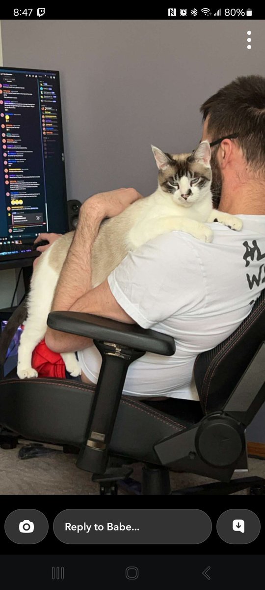 Dat Sergal tweet media