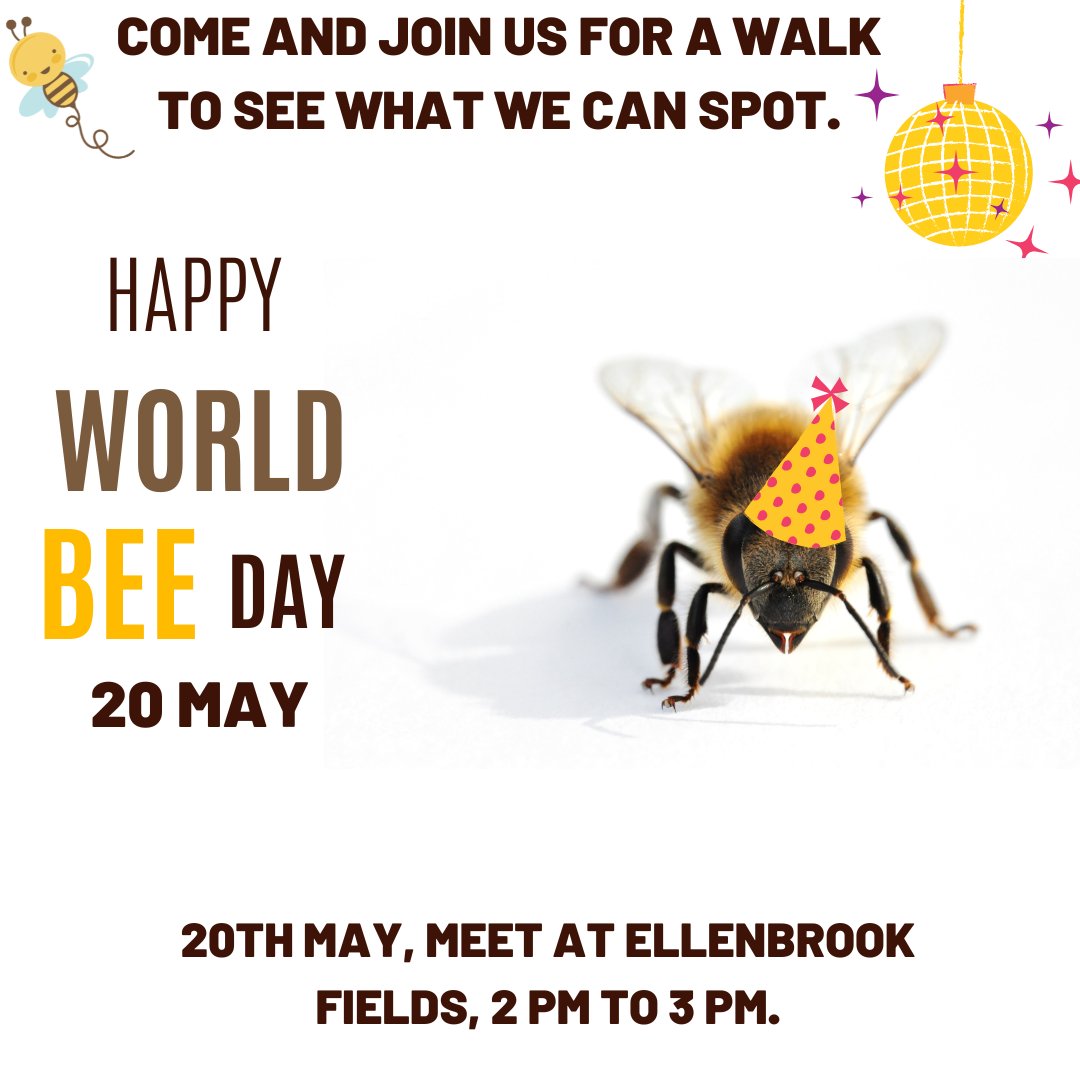 🐝Join Han from @HertsBusAcademy on an afternoon walk out in nature to learn about bees and see if we can spot any on their celebratory day. Open to all @UniofHerts staff and students 🙌 #worldbeeday #biodiversity #getoutdoors #uniofherts #goherts #environment #sustainability