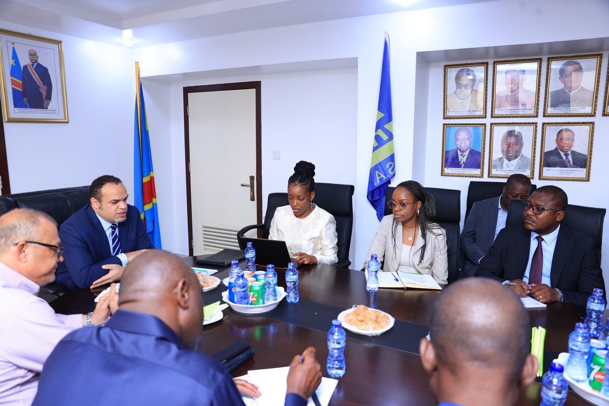 N. Sandrine Mubenga PhD, PE, SMIEEE tweet media