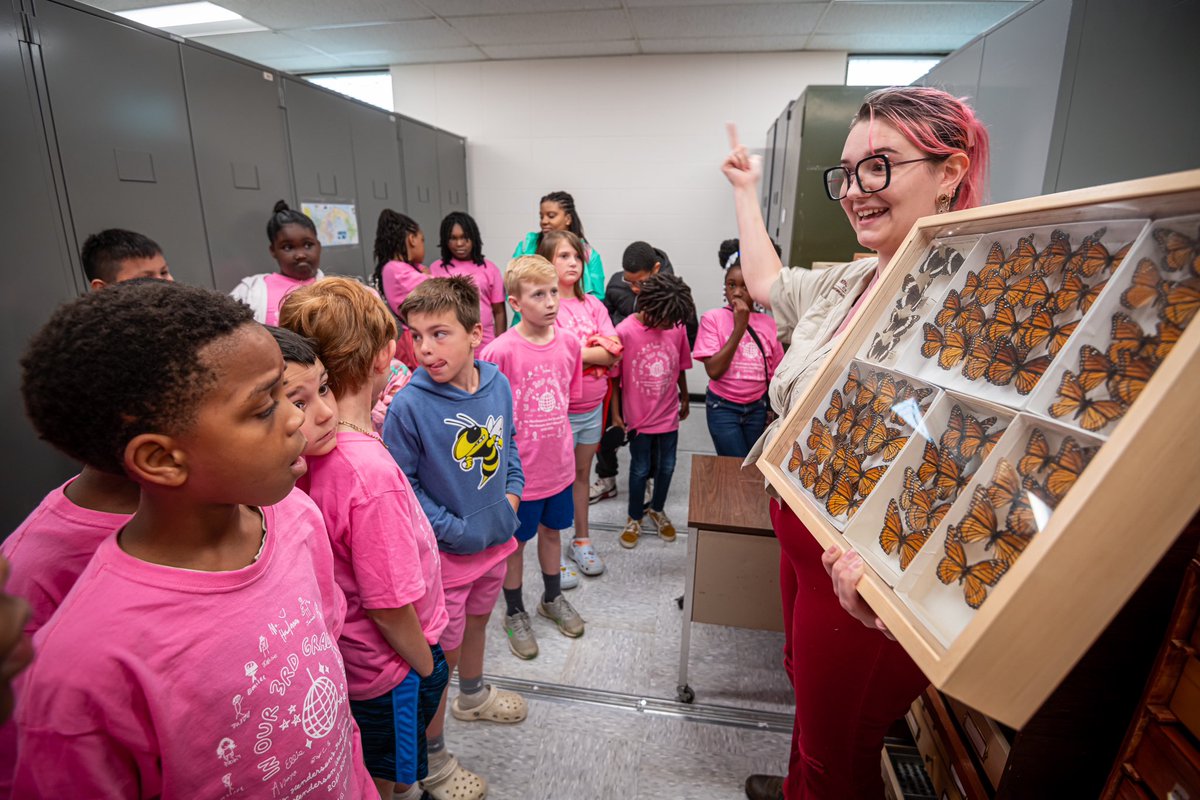 Over 500 third-grade students learned about anthropods, hexapods and more at the 2024 MSU Insect Fair. 

Sponsored by the #MSUAg Department of Biochemistry, Molecular Biology, Entomology and Plant Pathology, the fair provided hands-on activities for students.