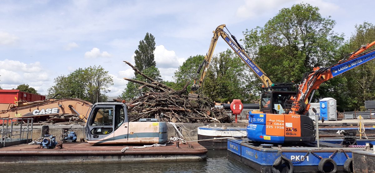 Trees picked up from the river by Land & Water for the EA, at the Sunbury Depot.