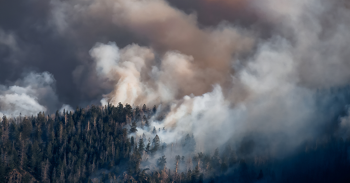 Alors que les incendies de forêt se sont propagés dans de nombreuses communautés au Canada, nous reconnaissons à quel point cela doit être difficile. En savoir plus sur la présentation d’une réclamation d’assurance : nfp.ca/risk/catastrop…