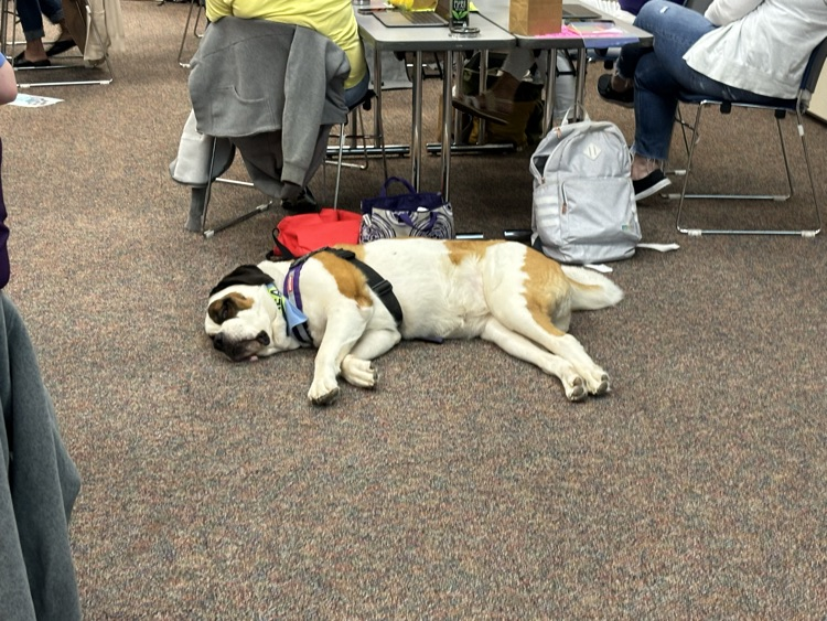 MBAEA Educational Consultants and their furry friend are here today!!