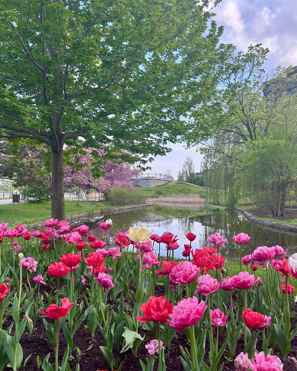 Finally, the long weekend! 
 
🚲 NCC #WeekendBikedays are on the KZM, SGEC and QED  
🍺 The NCC Bistros at 90 Wellington, Patterson Creek and Remic Rapids are open 
🌷 It’s the last weekend of @CDNTulipFest 

📷 nori832, jamie.b.schroeder, lisabalerna /ig