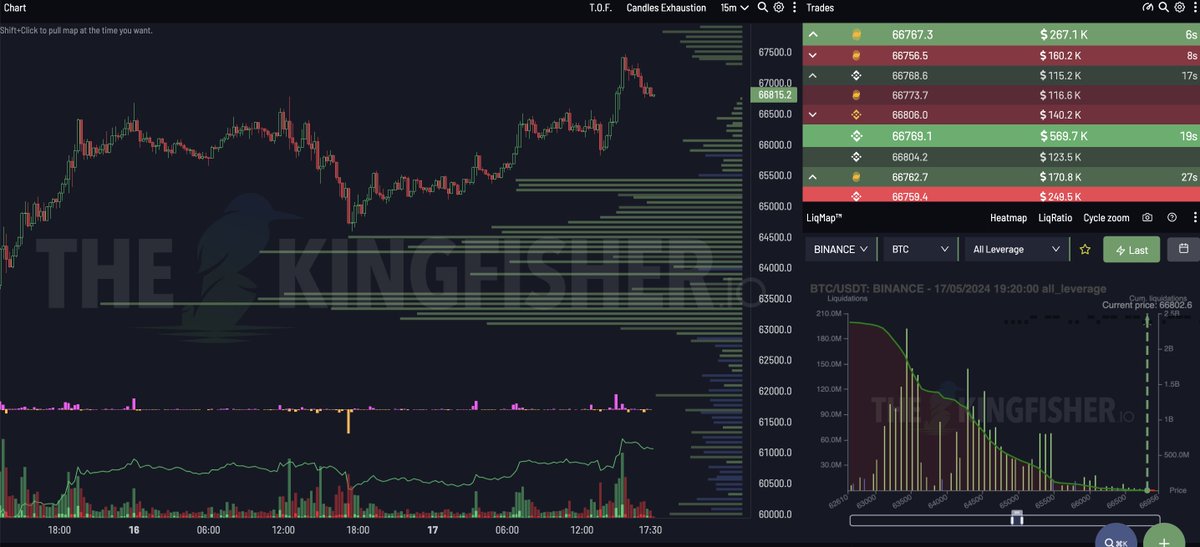 TheKingfisher tweet media