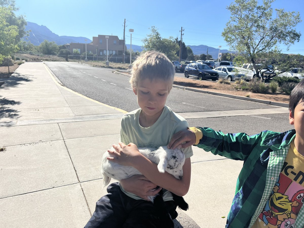 Look at these adorable goats that came to visit North Star this morning! @ABQschools @APS_Elementary