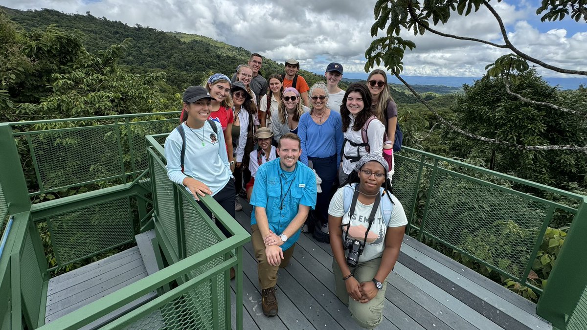 Our first day at Las Cruces Biological Station began with a tour, including the canopy tower. Excited for students to learn about environmental gradients & to measure plant responses here over the next week during our #UFinCostaRica Plants and People in the #Anthropocene course!