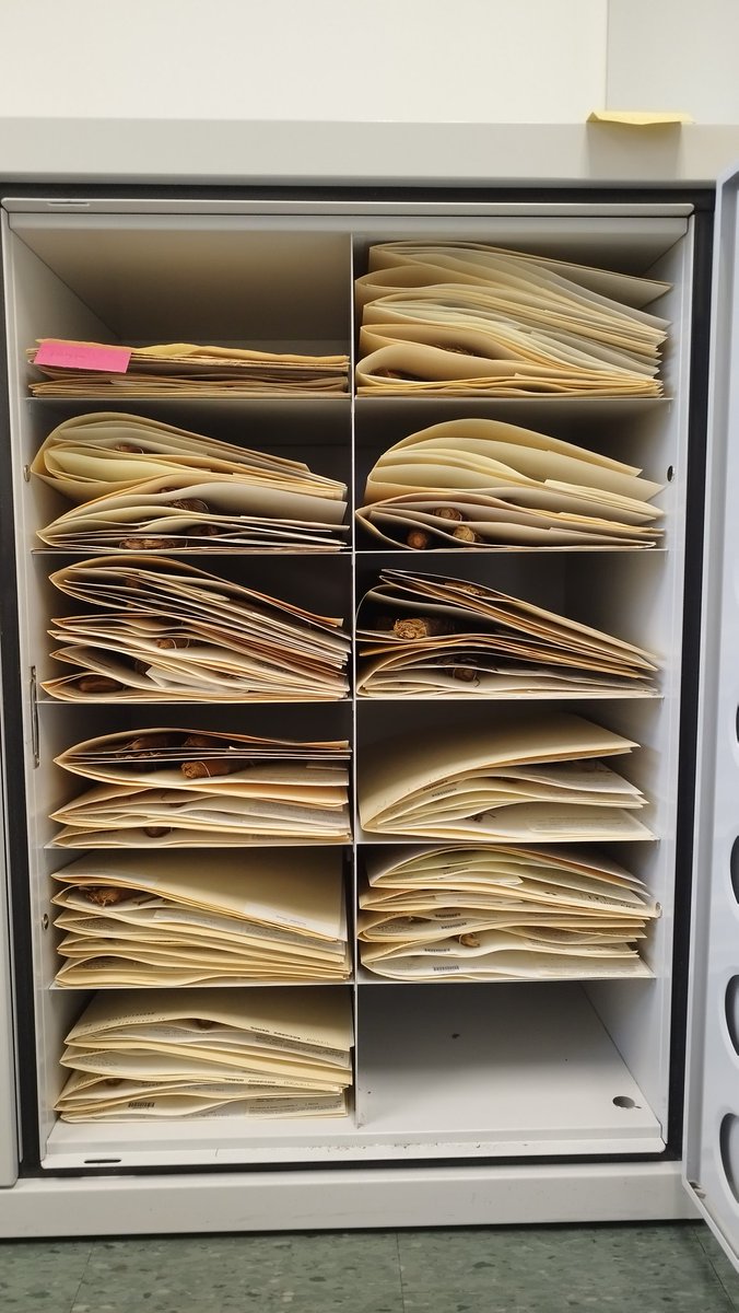 How accurate is @GBIF ' species occurrence data ? By the careful analysis and identification of specimens by taxonomists at natural history collection. After 2 weeks at @NYBG, I identified/updated names of more than 200 specimens of #Vellozia and #Annonaceae