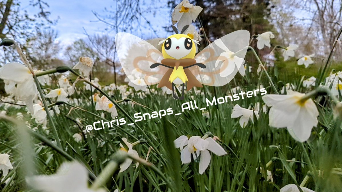 'Let Me Take You Higher!' (📸 Date: 05/09/2024)

#Ribombee, #Pokemon #743, trying to do its best to revive these #WhiteDaffodils as the #BloomingSeason comes to a close!

QUESTION OF THE DAY: Who is your favorite Pokémon from the #AlolaRegion?

#AROfTheDay #GOSnapshot #NianticAR
