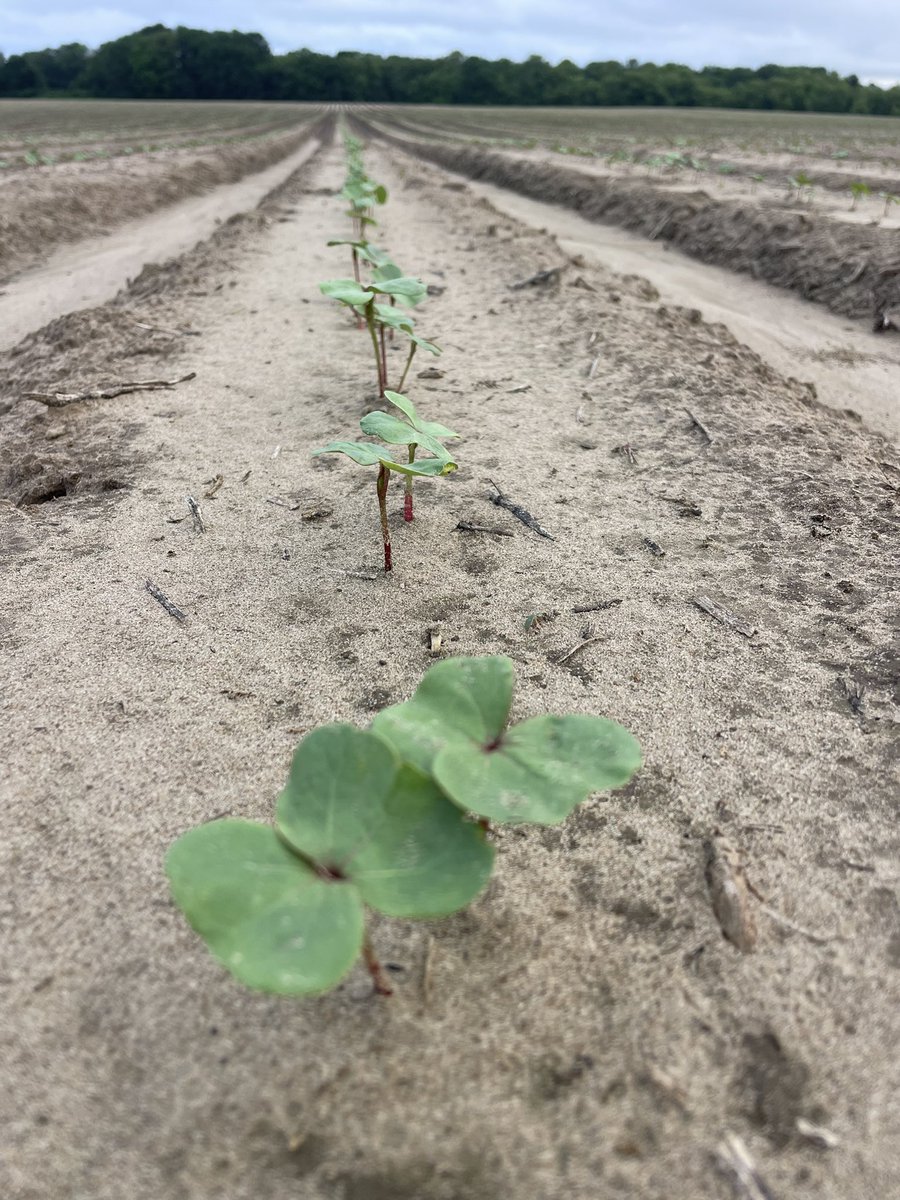 Jason Rudick tweet media