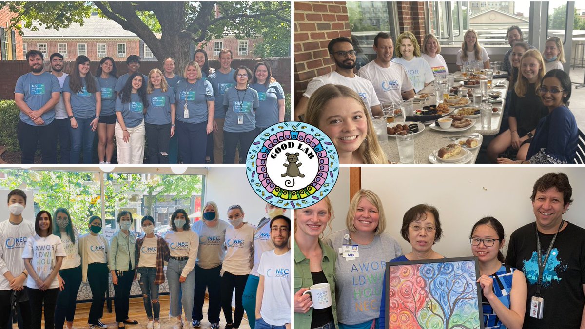 Misty Good tweet media