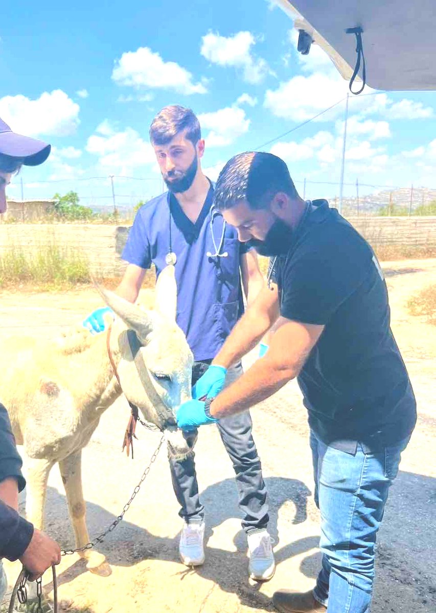 ⛑️We welcome student vet, Dr Mahmoud for the next few weeks. He'll be assisting & learning from our vet, Dr Rakan as they travel around the West Bank with our mobile clinic🚑 👋 We know you'll gain valuable experience working alongside our talented Dr Rakan 🙏👏