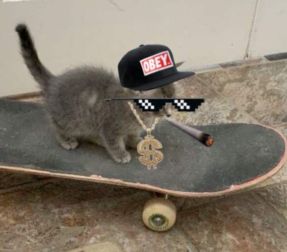 wizardwifhatt's tweet photo. @henokcrypto All you got 2 do is hold #skatecat https://t.co/AlQXxGOmm3