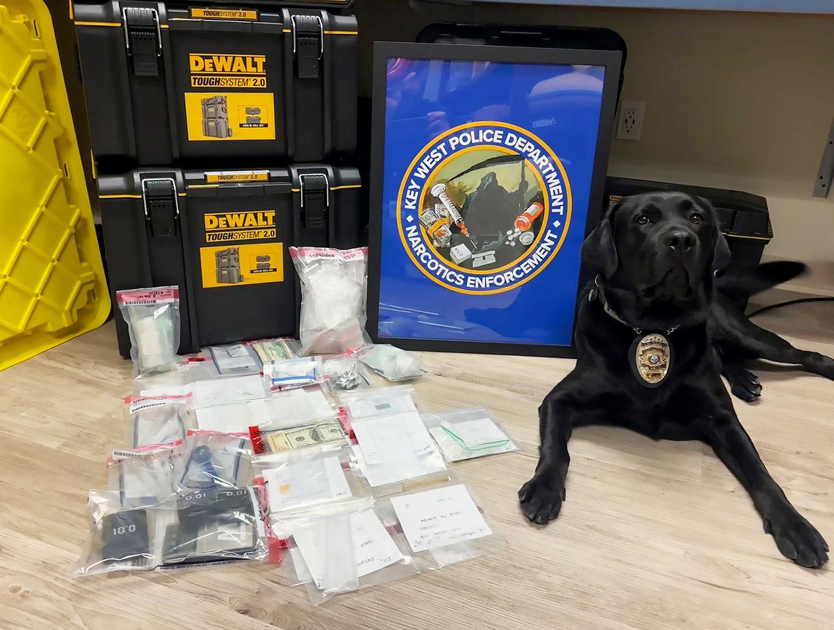 Key West police Friday arrested 3 men at Ocean Walk apartments, possession charges of meth, heroin, cocaine & fentanyl, plus drug dealing equipment and cash consistent with drug sales. 2 were charged with intent to sell meth. 📷 K9 Cayo with the seized narcotics.