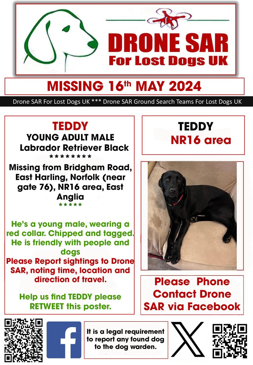 #LostDog #Alert TEDDY Male Labrador Retriever Black (Age: Young Adult) Missing from Bridgham Road, East Harling, Norfolk (near gate 76), NR16 area, East Anglia on Thursday, 16th May 2024 #DroneSAR #MissingDog