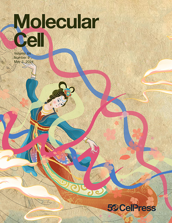 Ft'd on the cover of @MolecularCell, new research reveals the role of the BLM helicase in the ALT telomere damage response ft. @HaoyangJiang2, @zhtianp2, Tao Shi, Aravind Krishnan & @RogerRogergr (@Penn_CBIO/ @PennGenomeInteg/ @BasserBRCA) tinyurl.com/29dp4m6u