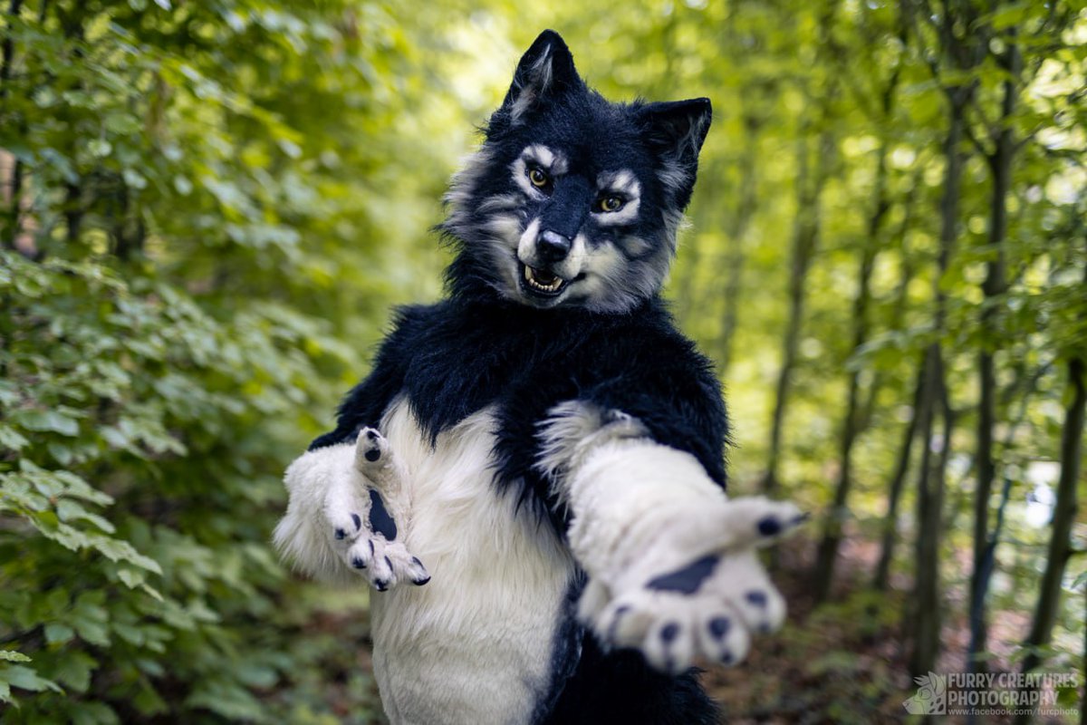 It's #FursuitFriday... wanna go for a walk with a werewolf on the wildside? (Picture by @FurCPhoto).