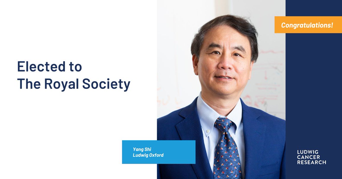 Our congratulations to Ludwig @UniofOxford's Yang Shi, who has been given the rare honor of election to The Royal Society in the U.K. in recognition of his landmark contributions to our understanding of the epigenetic regulation of the genome. bit.ly/4brEvRd