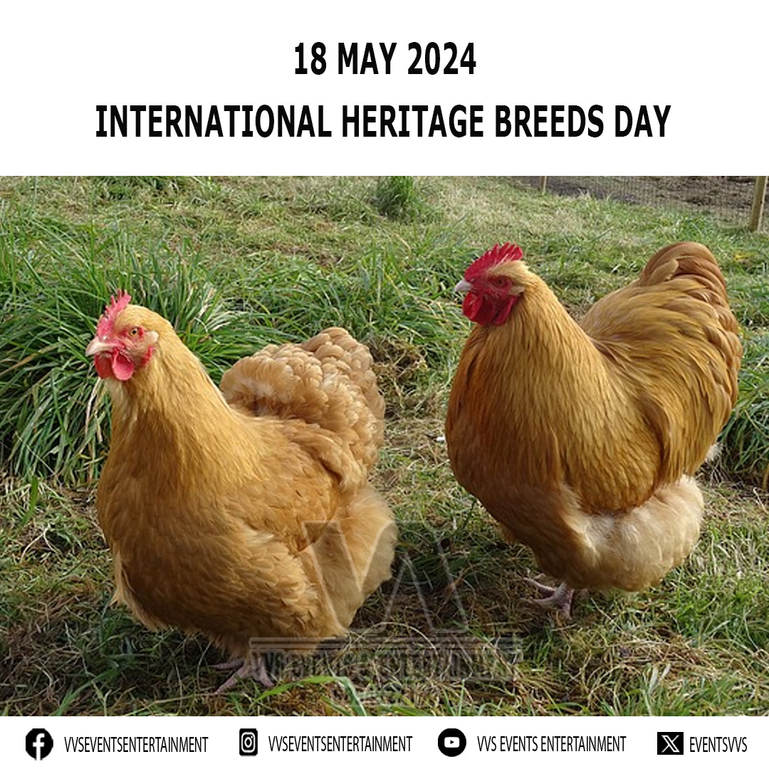 International Heritage Breeds Day International Heritage Breeds Day 2024 #InternationalHeritageBreedsDay #InternationalHeritageBreedsDay2024 #HeritageBreedsDay #HeritageBreedsDay2024 facebook.com/VVSEventsEnter… instagram.com/VVSEventsEnter… youtube.com/@VVSEventsEnte… x.com/eventsvvs