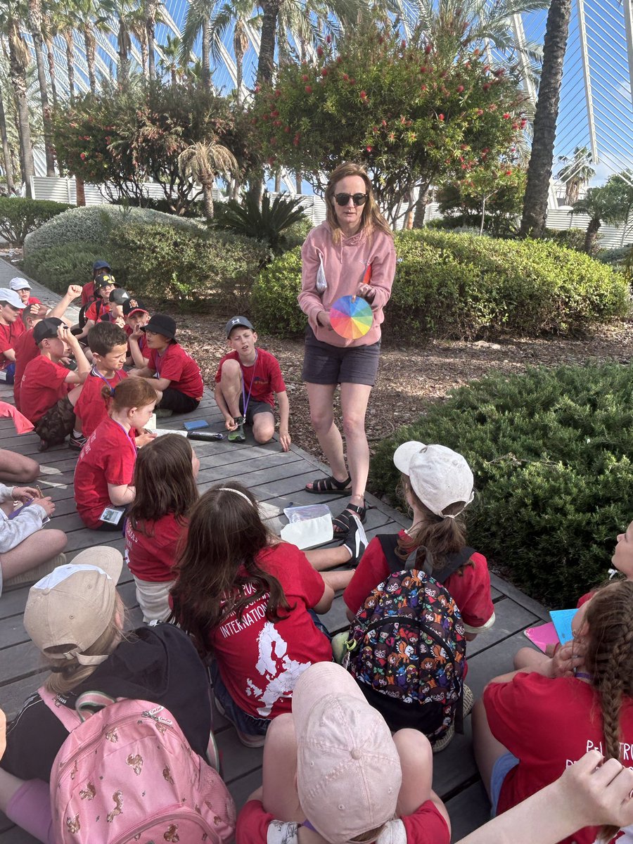 PeleTrustPrimaryLanguages tweet media